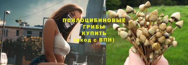хмурый Гвардейск