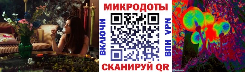 магазин Сортавала Псилоцибиновые грибы Psilocybe